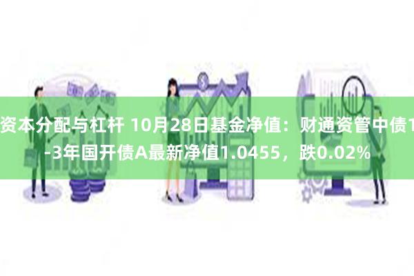 资本分配与杠杆 10月28日基金净值：财通资管中债1-3年国开债A最新净值1.0455，跌0.02%