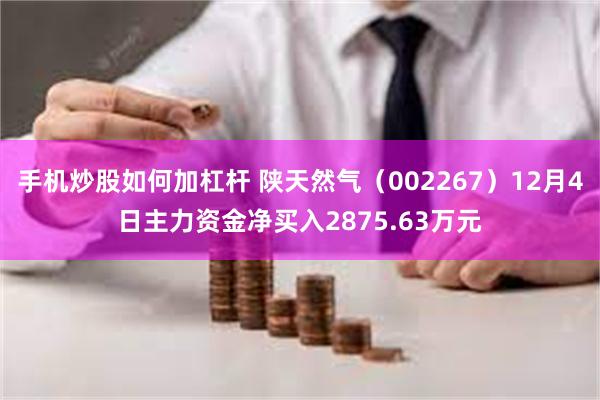 手机炒股如何加杠杆 陕天然气（002267）12月4日主力资金净买入2875.63万元