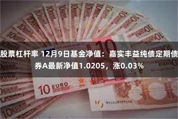 股票杠杆率 12月9日基金净值：嘉实丰益纯债定期债券A最新净值1.0205，涨0.03%