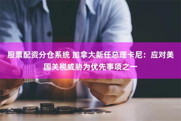 股票配资分仓系统 加拿大新任总理卡尼：应对美国关税威胁为优先事项之一