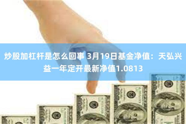 炒股加杠杆是怎么回事 3月19日基金净值：天弘兴益一年定开最新净值1.0813