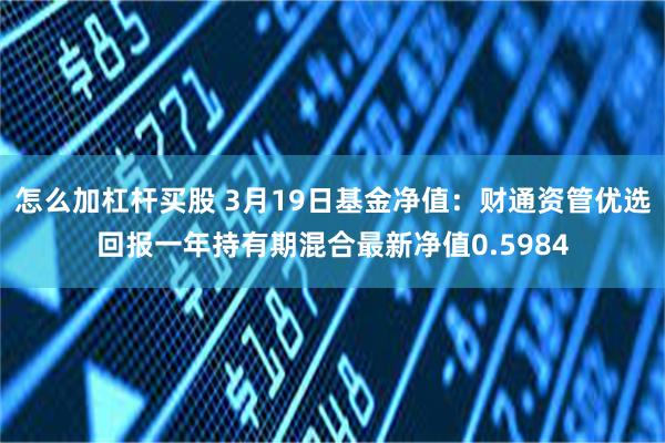 怎么加杠杆买股 3月19日基金净值：财通资管优选回报一年持有期混合最新净值0.5984